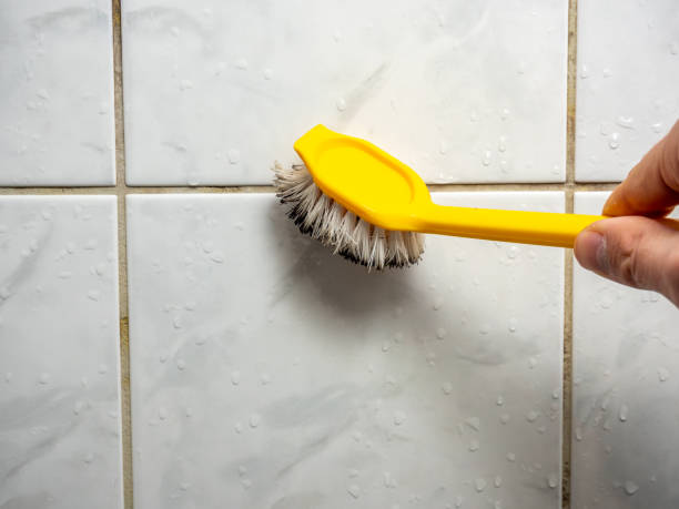Best Fast Mold Removal  in Mayfield, KY