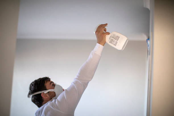 Best Same-Day Mold Removal  in Mayfield, KY