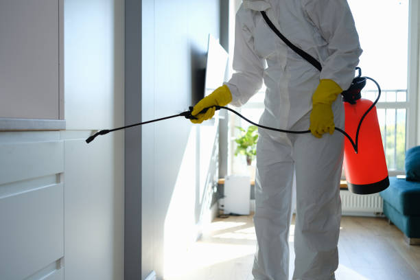 Mold Removal and Inspection in Mayfield, KY