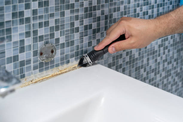 Certified Mold Removal in Mayfield, KY